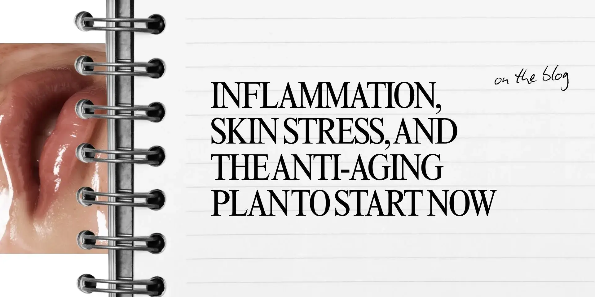 Inflammation, Skin Stress, and the Anti-Aging